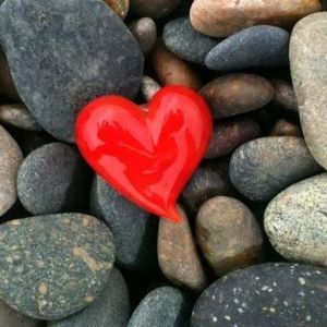 Meet your Posher, Wanda